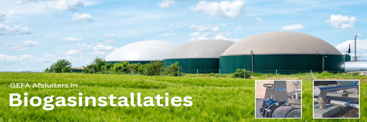 Biogas